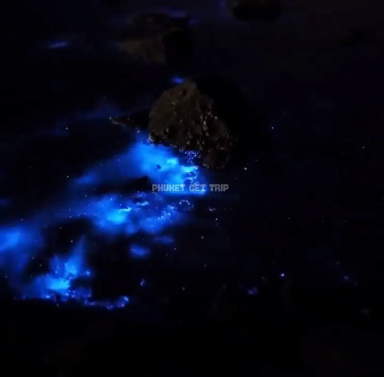 Сияние планктона